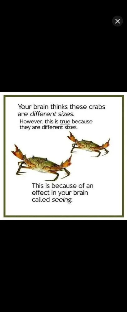 GIF uploaded by *JB* 🇬🇧🇬🇷