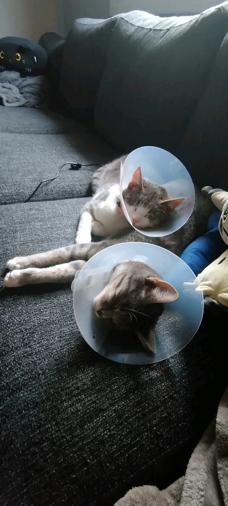 Image uploaded by Molly