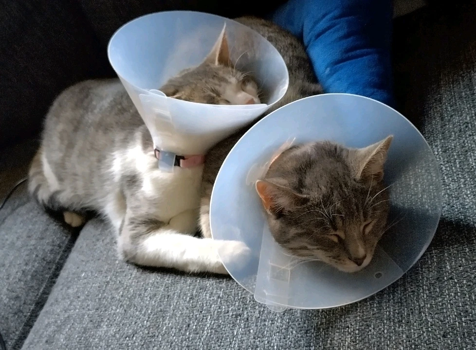 Image uploaded by Molly