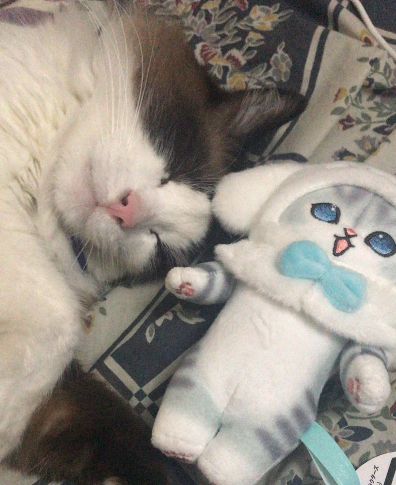 GIF uploaded by Jacqueline