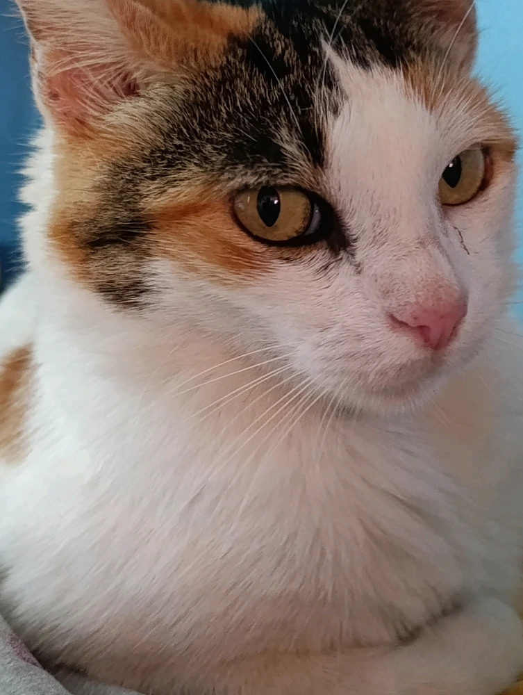 GIF uploaded by Odette