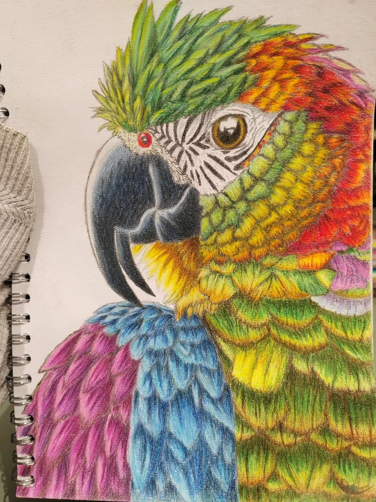 Image uploaded by Ryan