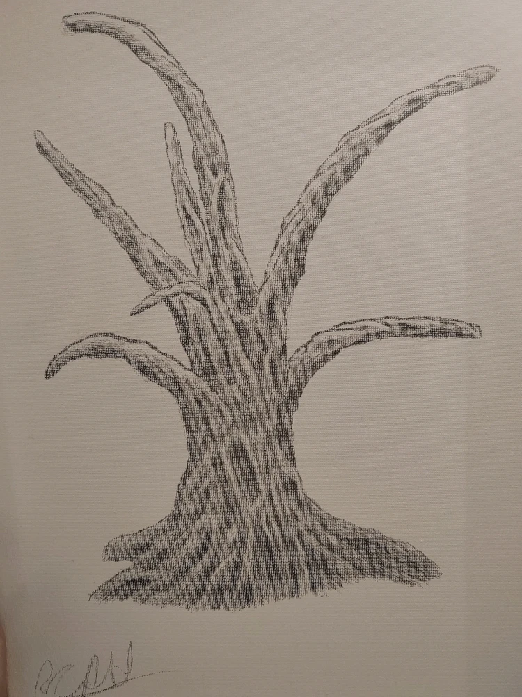 Image uploaded by Ryan