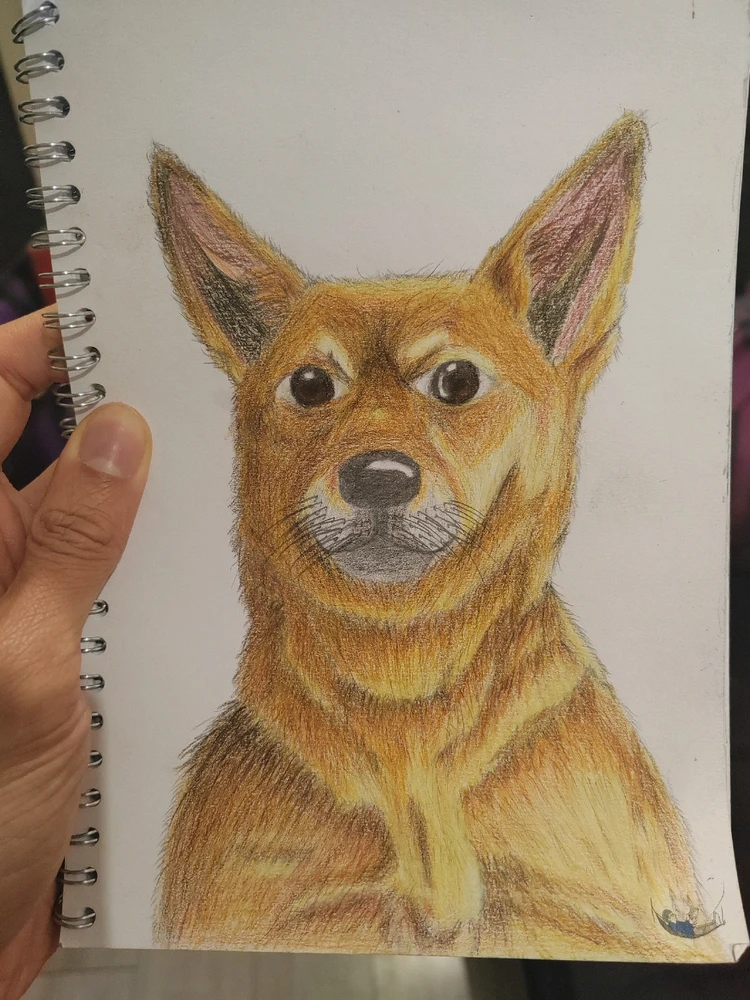 Image uploaded by Ryan