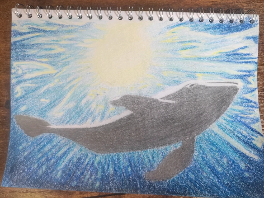 Image uploaded by Ryan