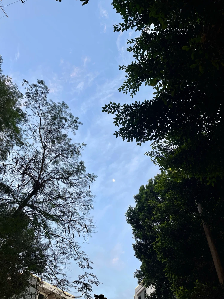 GIF uploaded by Telesto