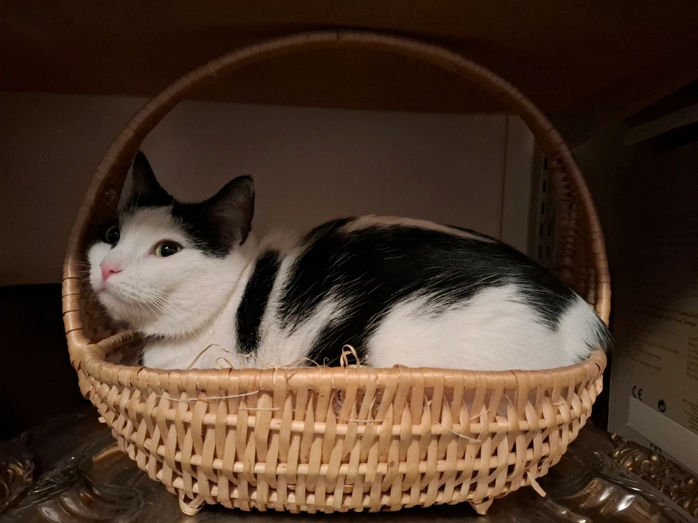 Image uploaded by Aida