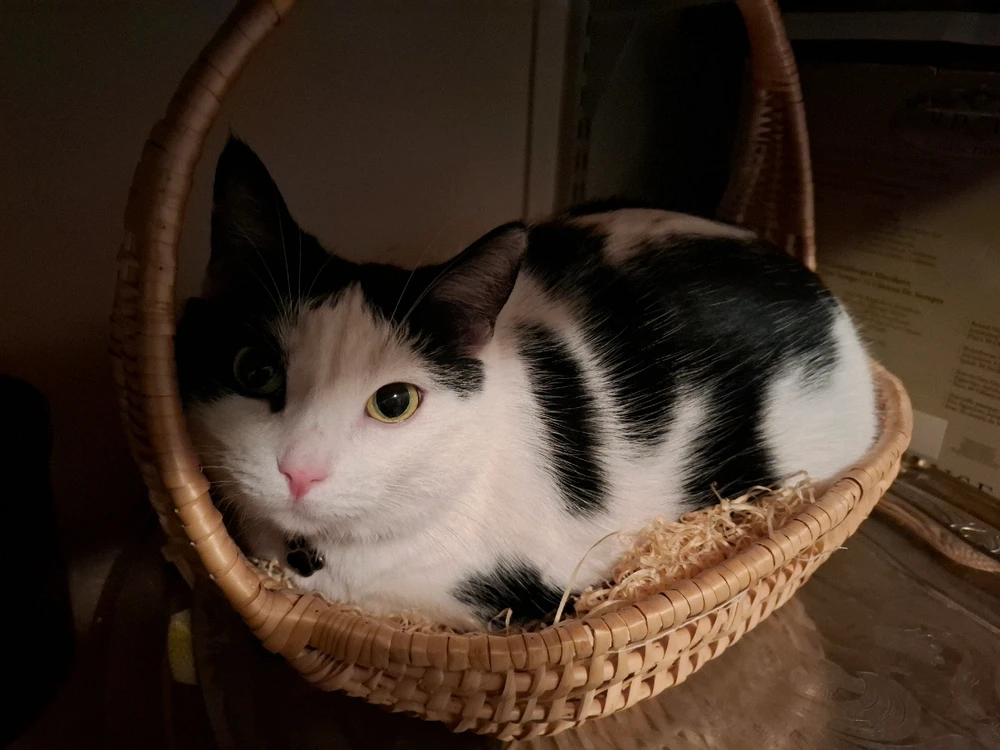 Image uploaded by Aida