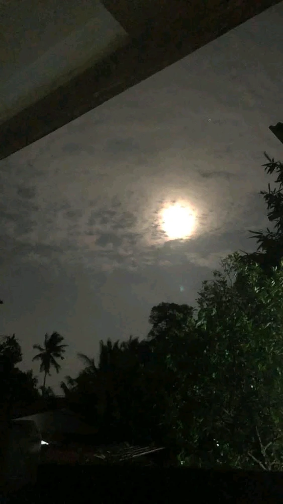 Image uploaded by 💜J💜o💜e💜y💜