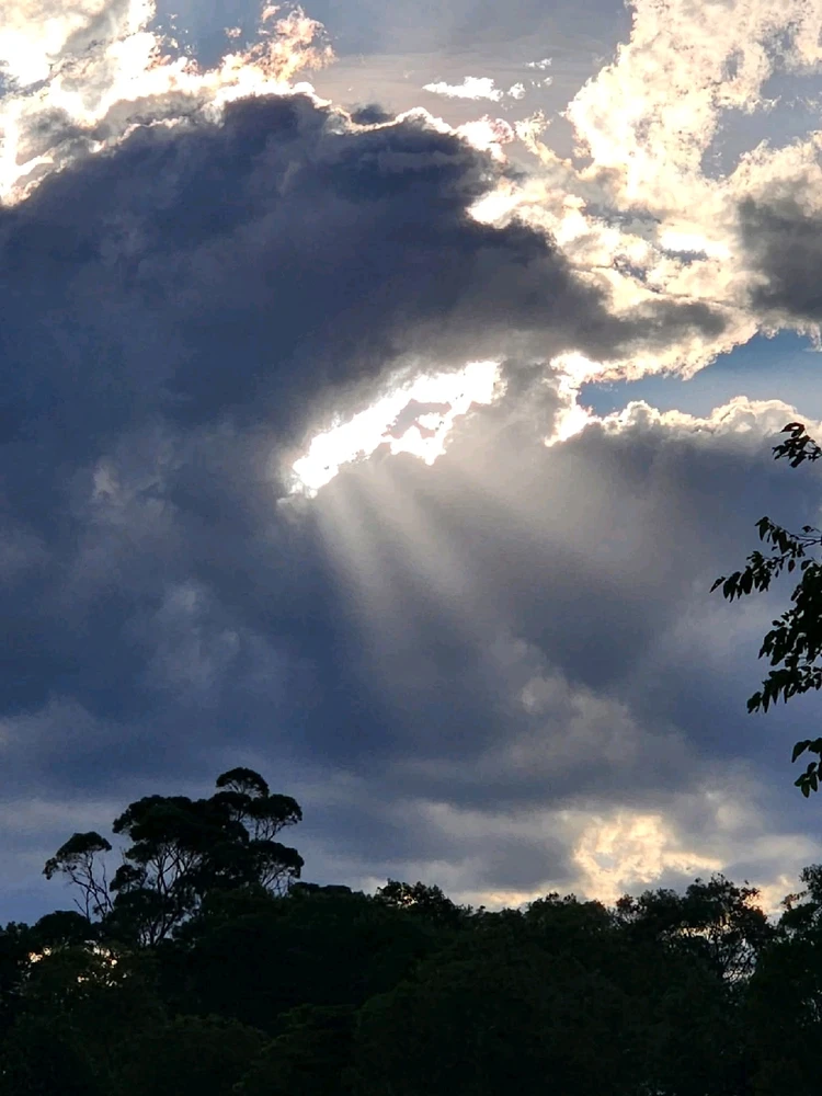 Image uploaded by 💜J💜o💜e💜y💜