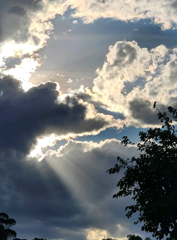 Image uploaded by 💜J💜o💜e💜y💜