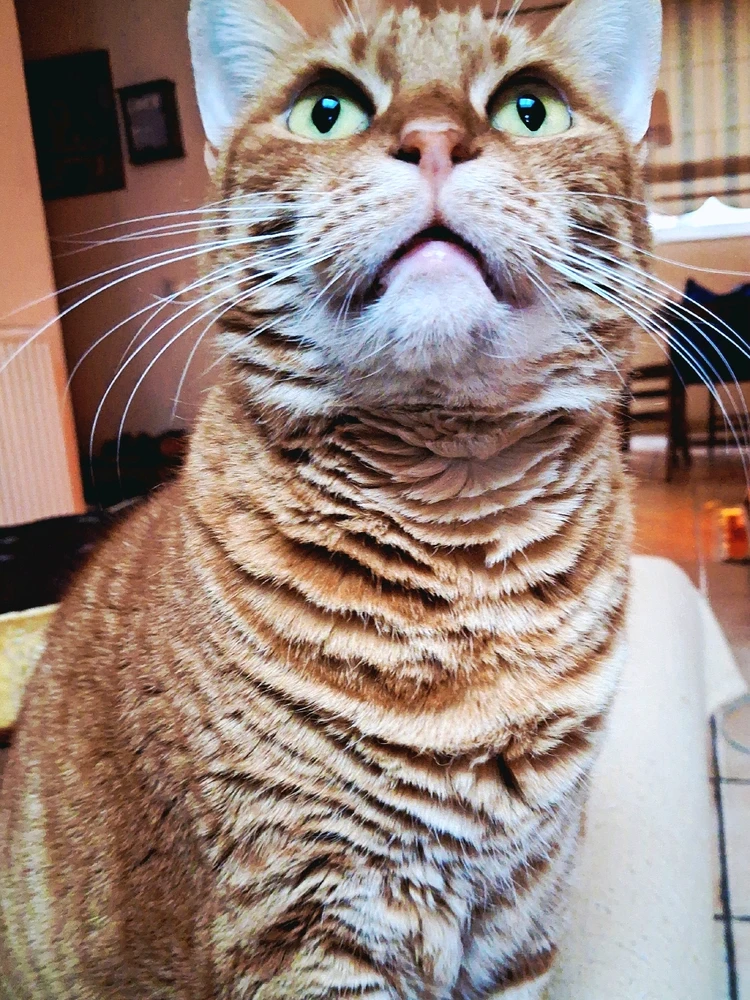 GIF uploaded by Michalis