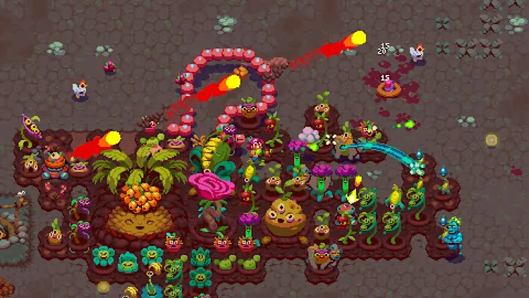 Image uploaded by Dean