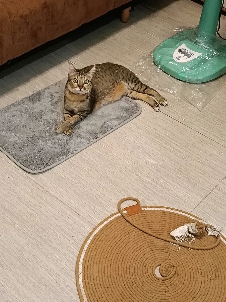 GIF uploaded by Maria