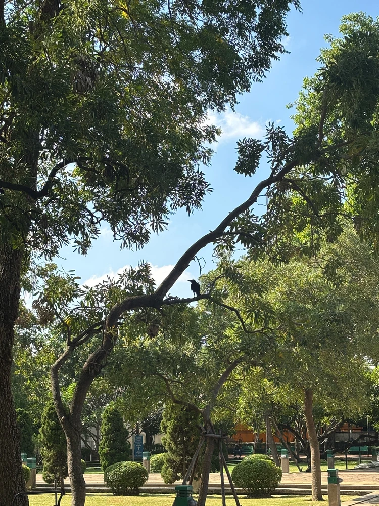 GIF uploaded by Pat♡