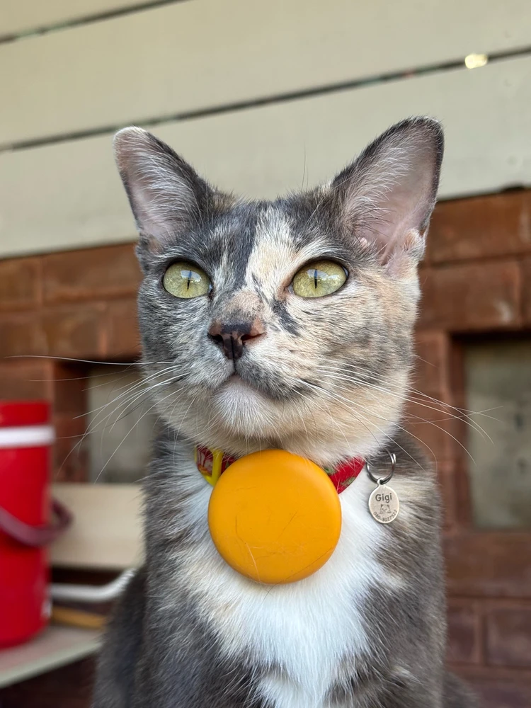 GIF uploaded by Pat♡