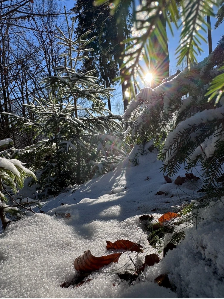 GIF uploaded by Ricarda