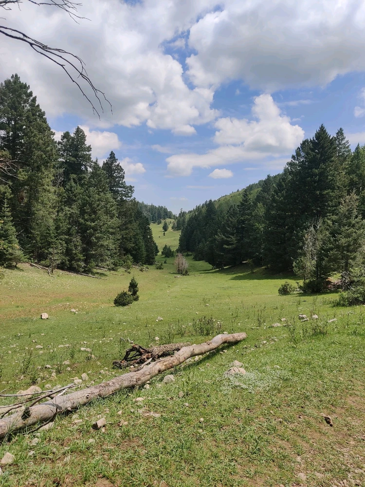 Image uploaded by berry