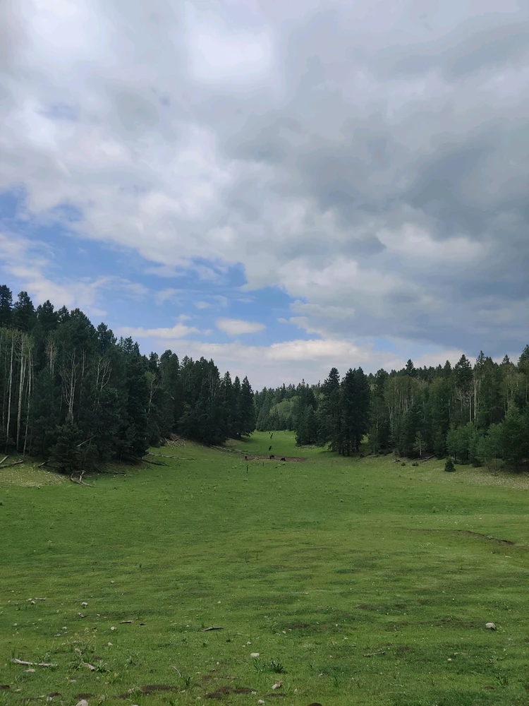 Image uploaded by berry