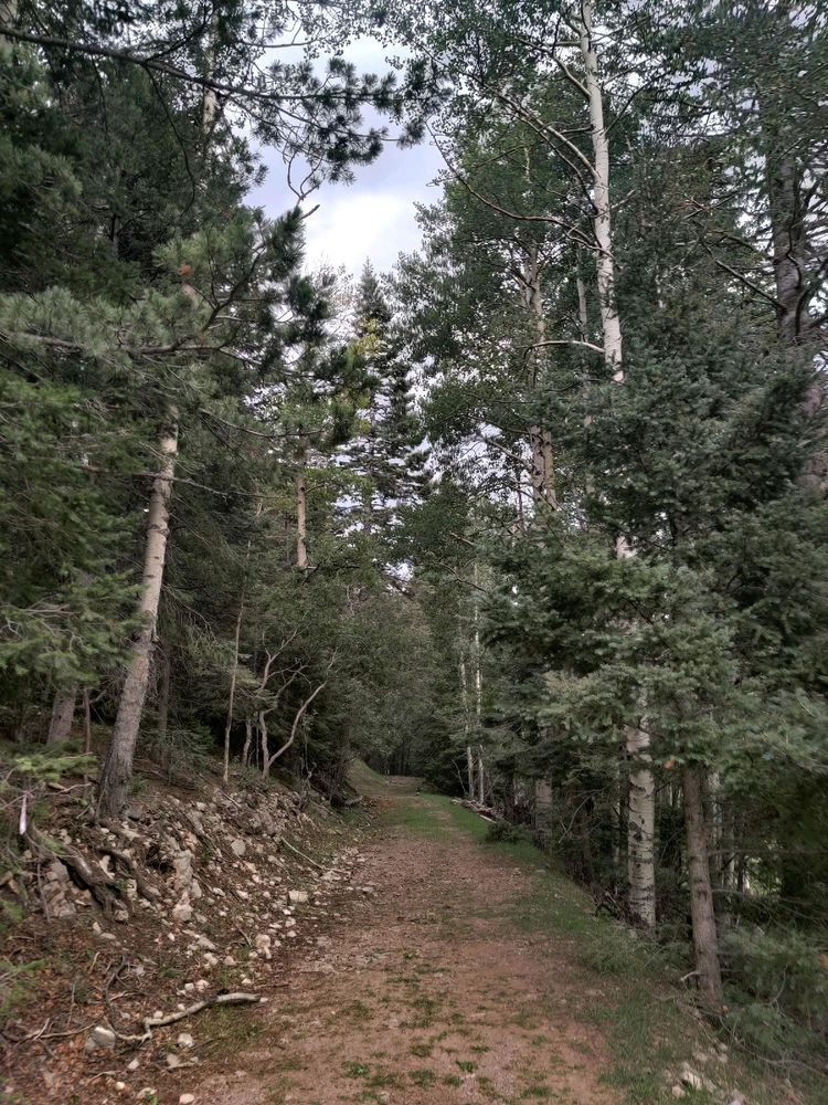 Image uploaded by berry