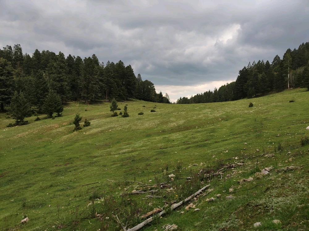 Image uploaded by berry