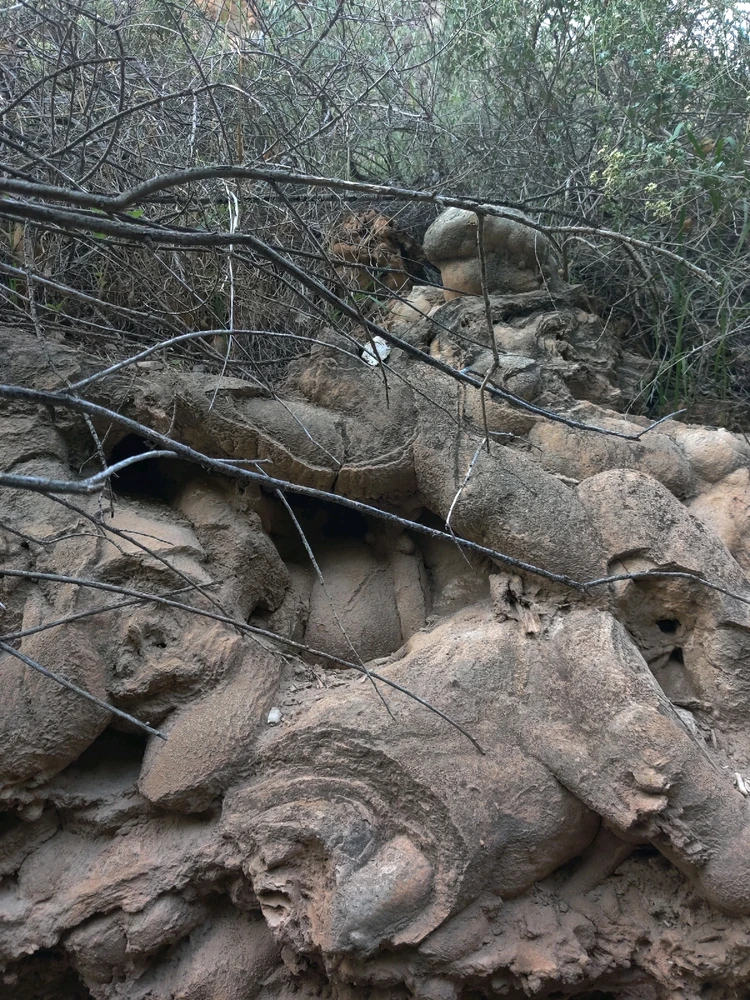 Image uploaded by berry