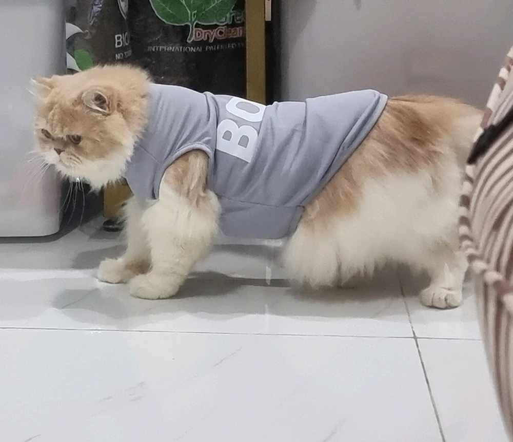 GIF diunggah dening Windy