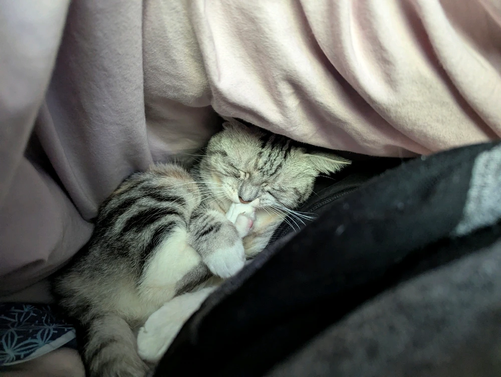 GIF diunggah dening Liam