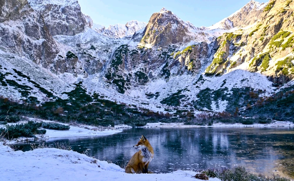 GIF uploaded by Lena