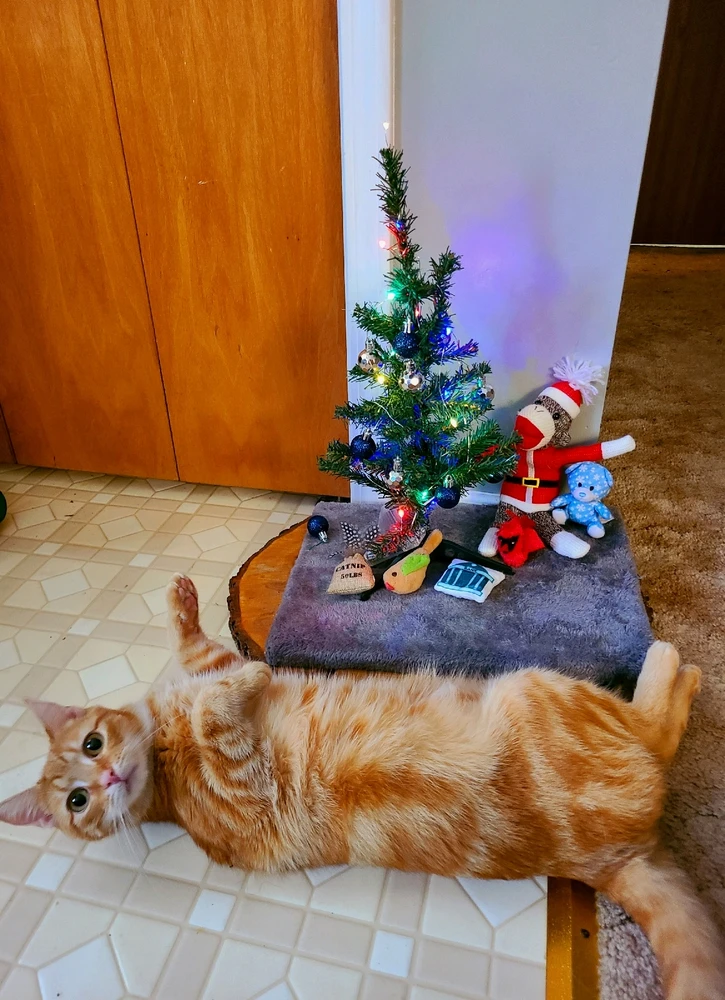 GIF diunggah dening Marilyn