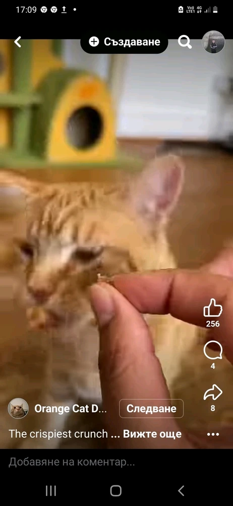 GIF загружаны Иван