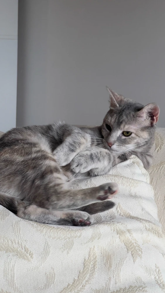 Gambar diunggah dening D. L.