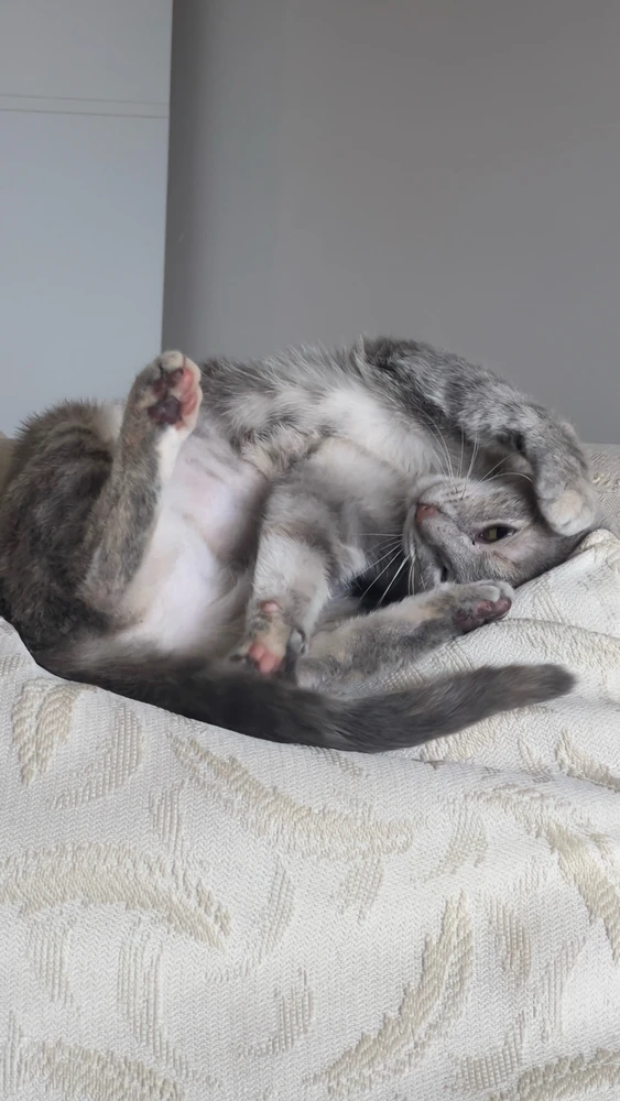 Gambar diunggah dening D. L.