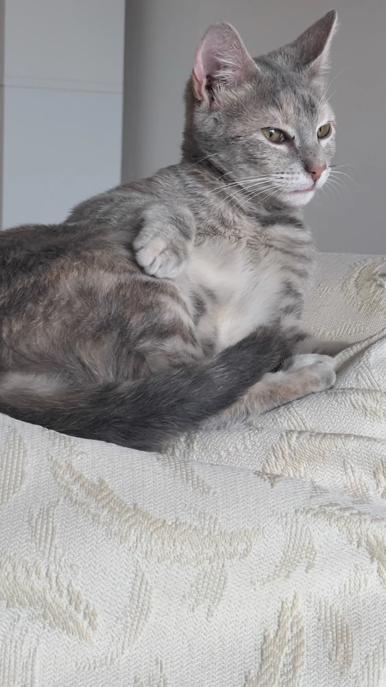 Gambar diunggah dening D. L.