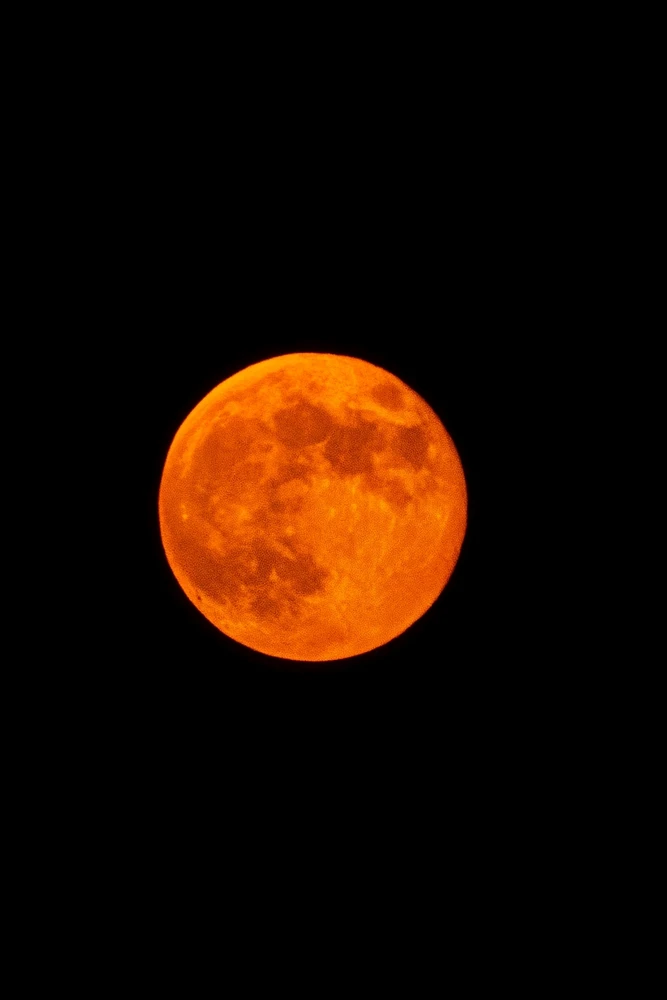 GIF hochgeladen von Kane