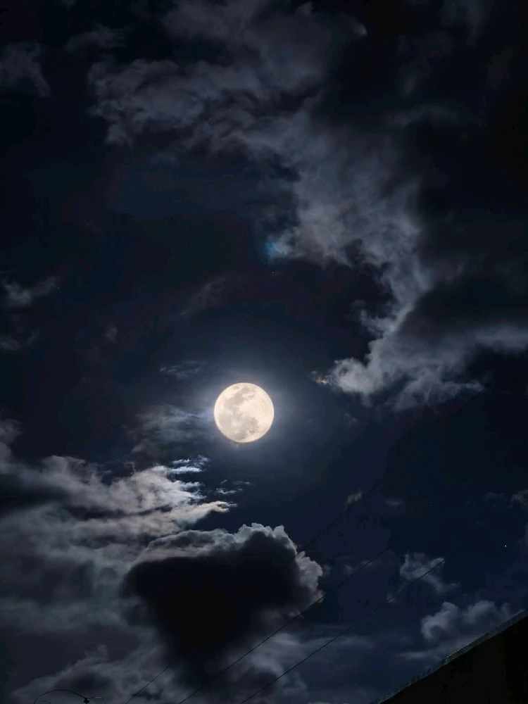 Image uploaded by n0e