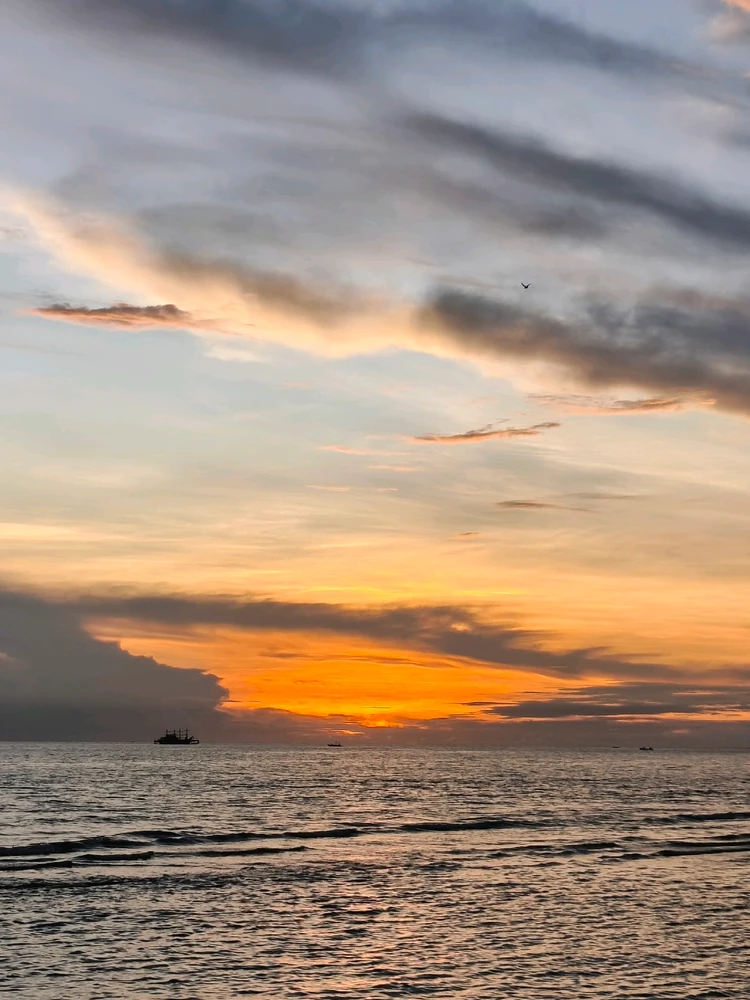 Image uploaded by ica