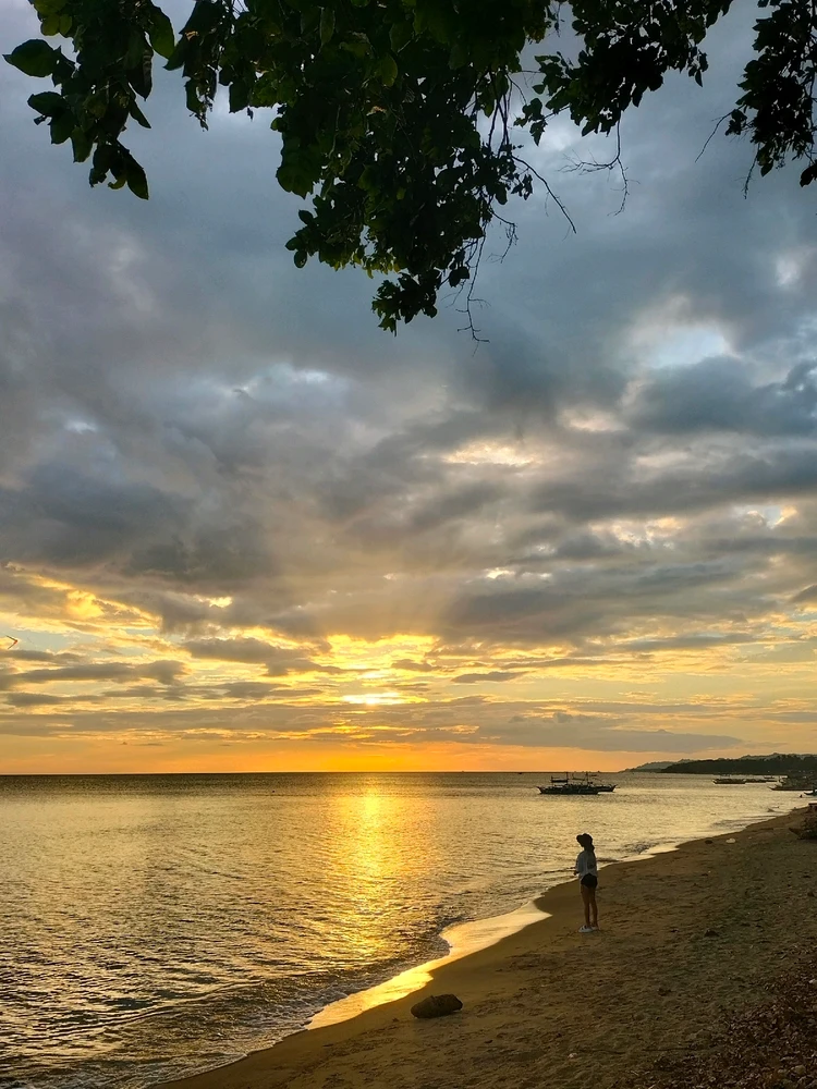 Image uploaded by ica