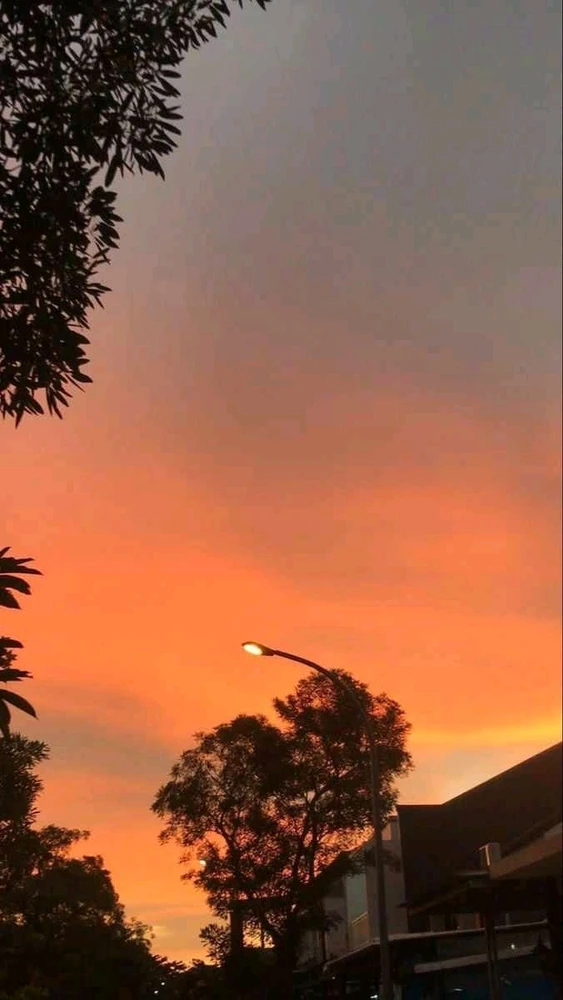 Image uploaded by ica