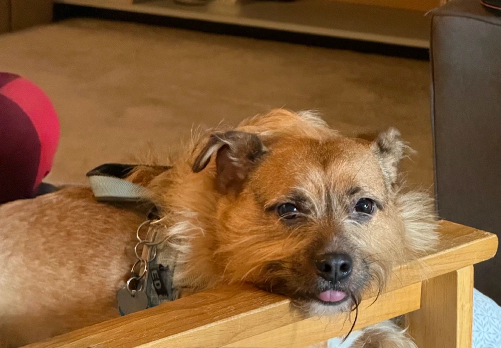 GIF diunggah dening Aiesha