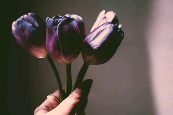 ꨄ𝐃ꨄ 上傳的 GIF