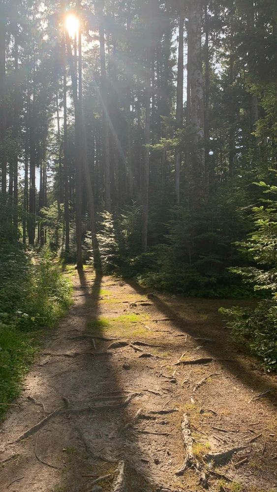 Image uploaded by Illona