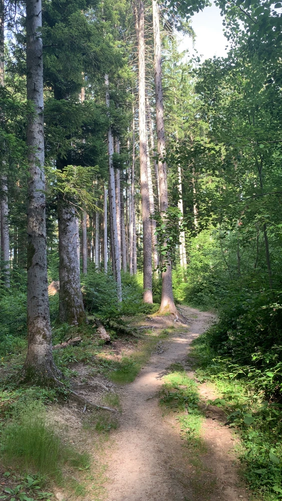 Image uploaded by Illona