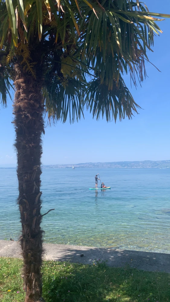 Image uploaded by Illona