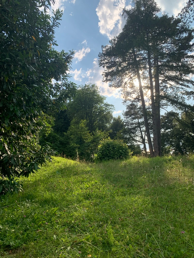 Image uploaded by Illona