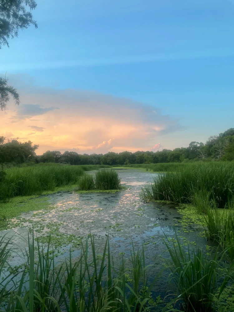 Image uploaded by Illona