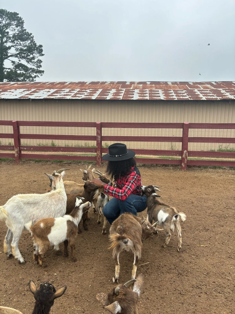 Image uploaded by Illona