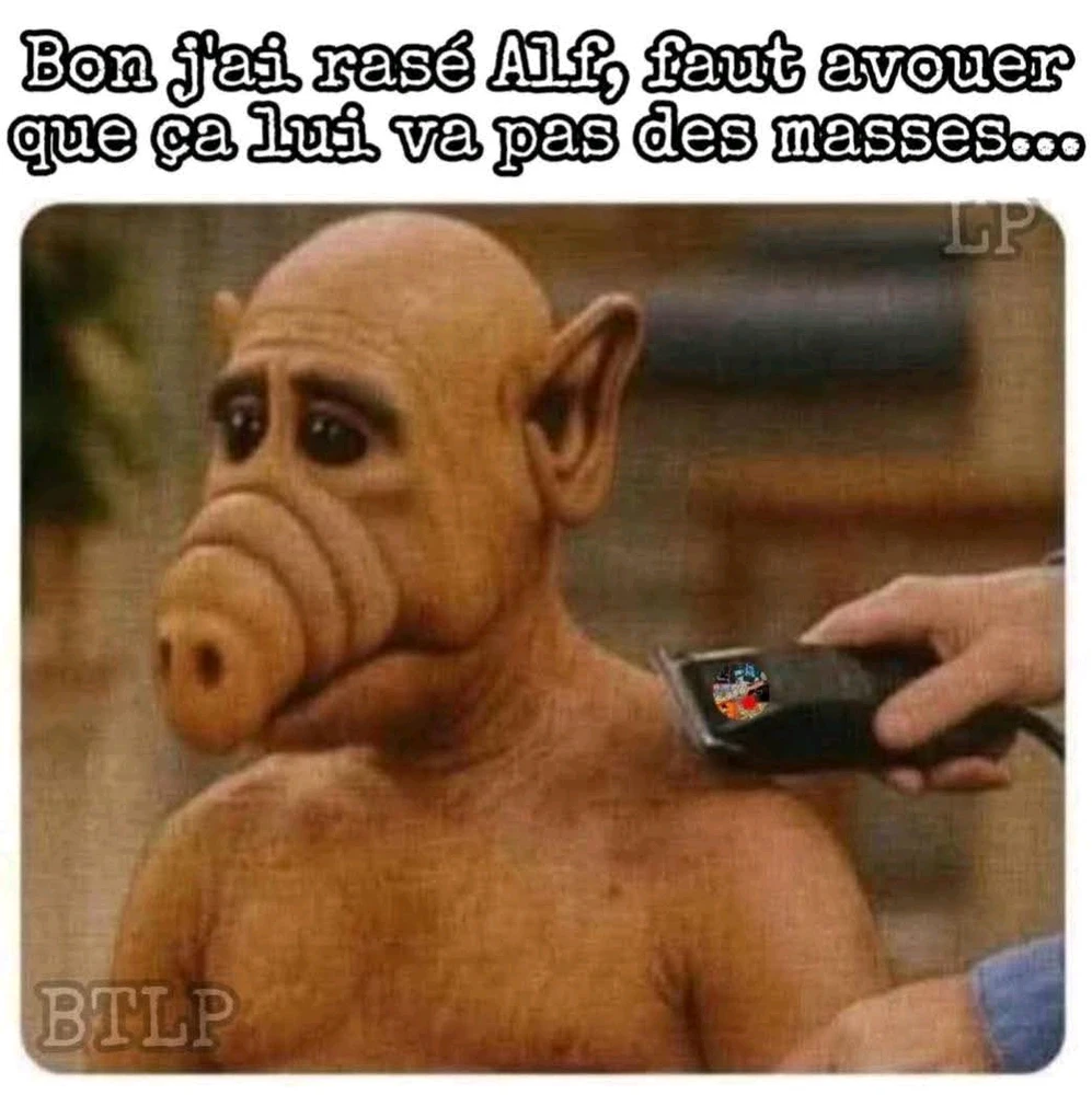 GIF ajouté par Mikaël