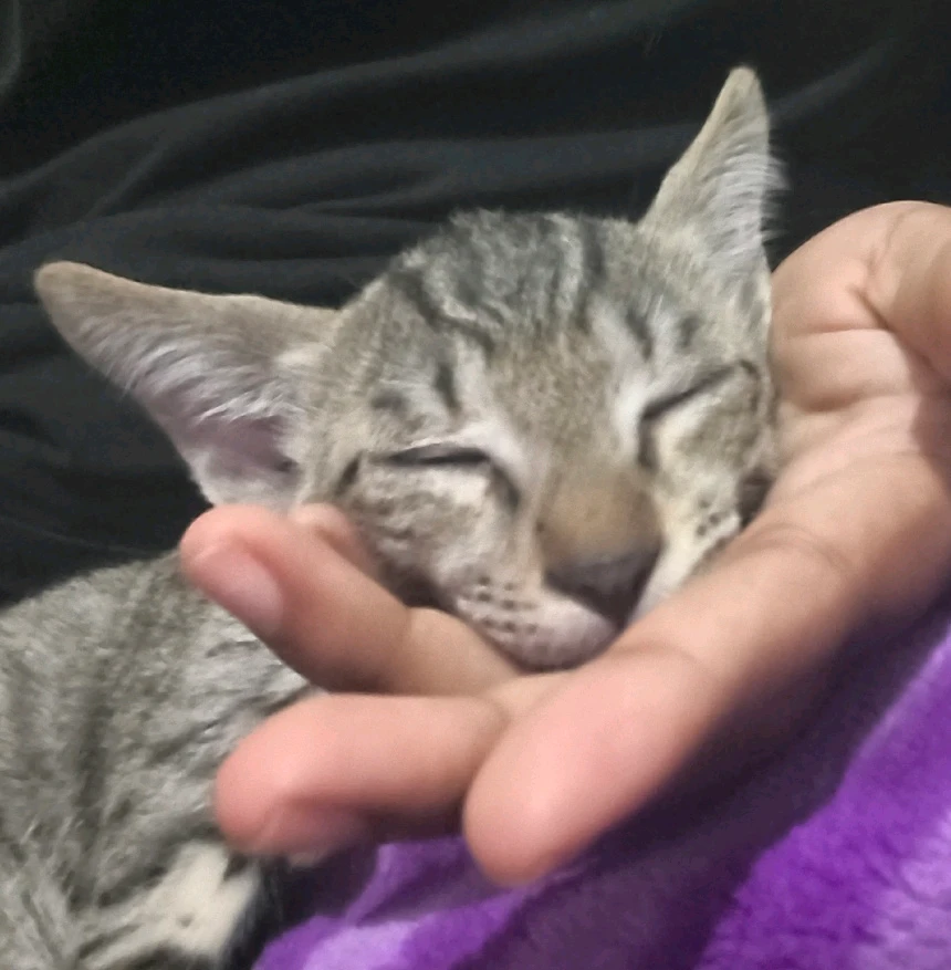 GIF diunggah dening Lake