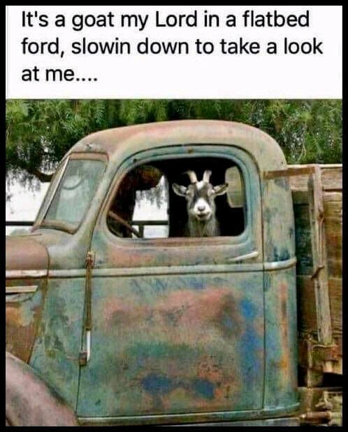 GIF uploaded by Bruce elliott